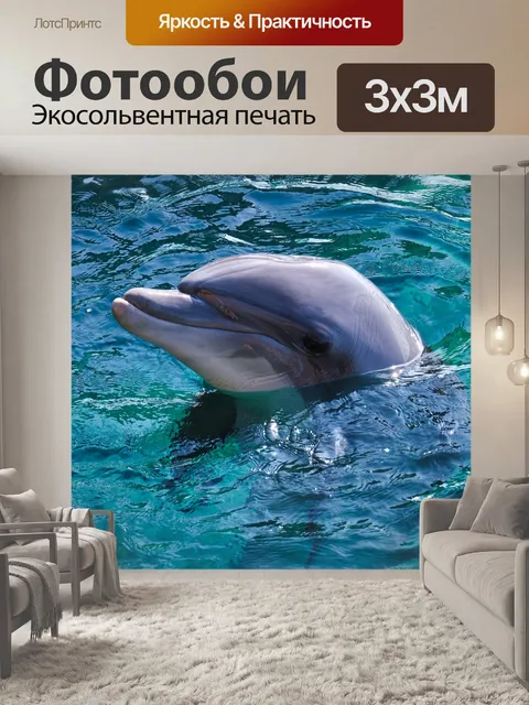 Фотообои Дельфин