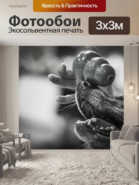 Фотообои Собака