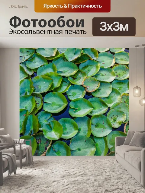 Фотообои Лотос Парк в Сакон Накхоне, Таиланд