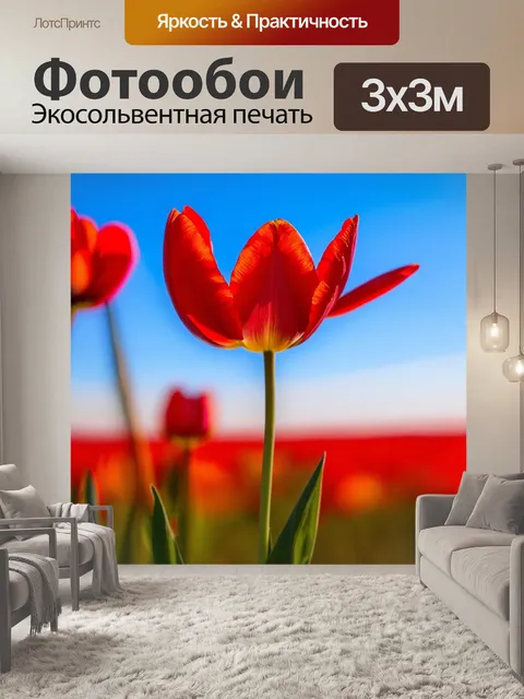 Фотообои нежный красный тюльпан, распустившийся в полноцветной палитре, на фоне южного горизонта