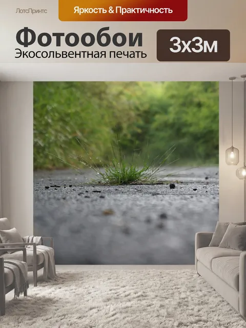 Фотообои Макрос