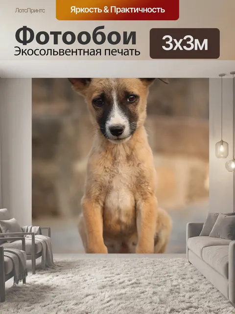 Фотообои Улица