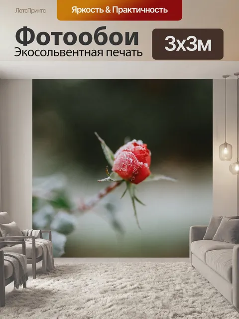 Фотообои Роза