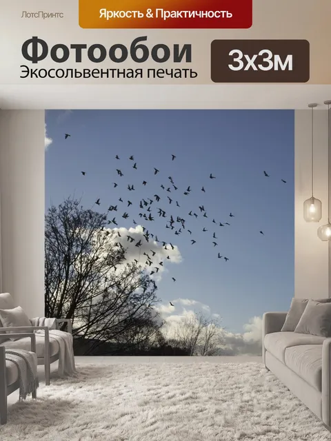 Фотообои Птицы