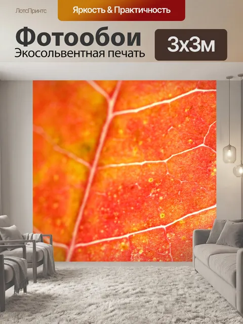 Фотообои Красные листья