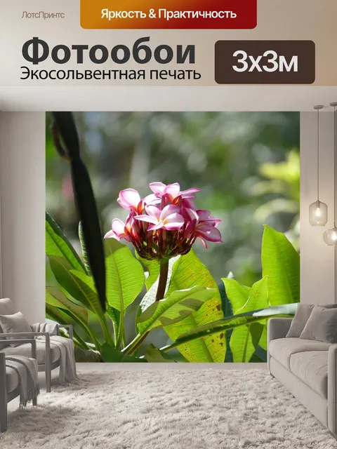 Фотообои Франжипани