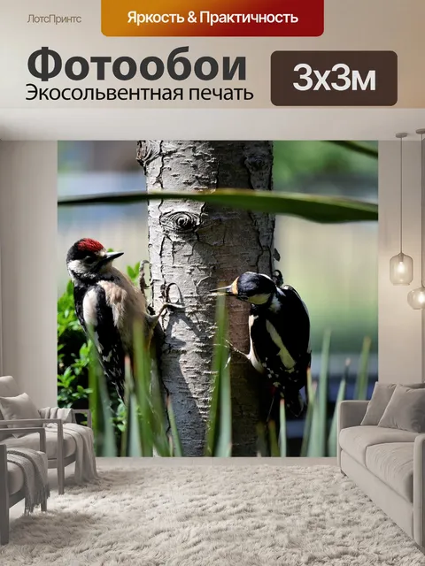 Фотообои Птицы