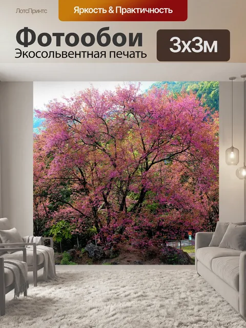 Фотообои Сакура Таиланд