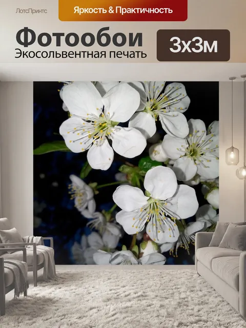 Фотообои Вишни в цвету