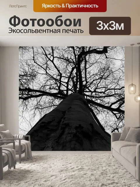 Фотообои Деревья без листьев