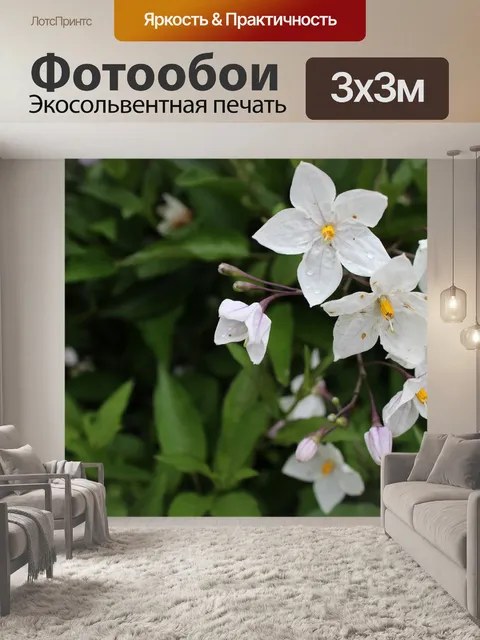 Фотообои Цветы