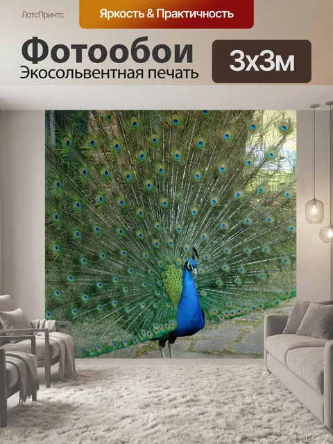 Фотообои Павлин