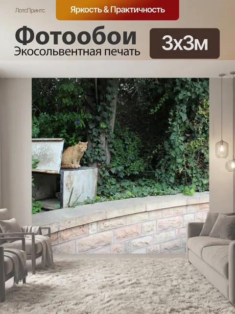 Фотообои Кошка