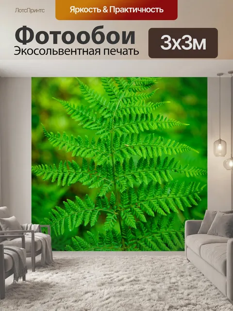 Фотообои папоротник