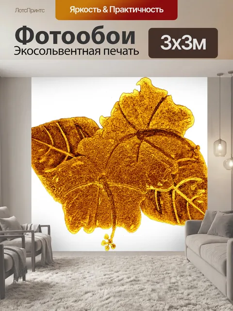 Фотообои Сусальное золото 105