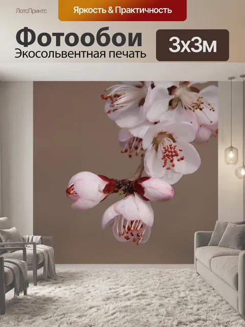 Фотообои Персиковый цвет
