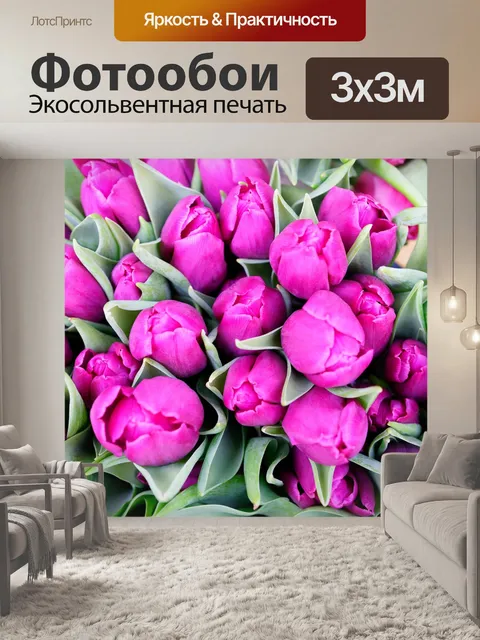 Фотообои Тюльпаны