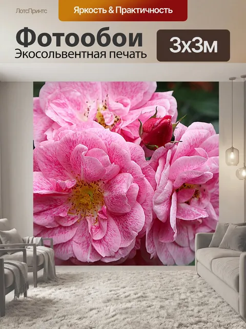 Фотообои Розы