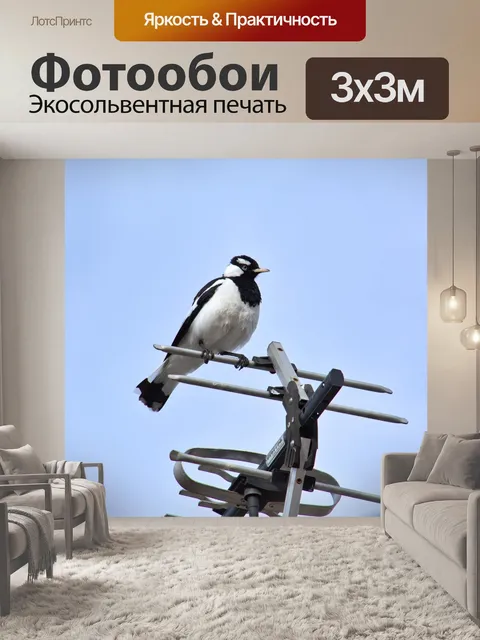 Фотообои Птица