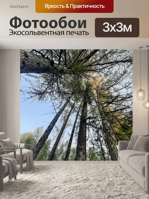 Фотообои Дерево