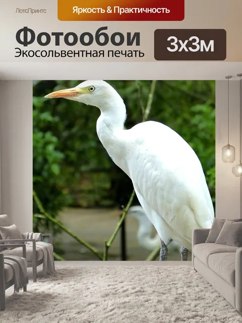 Фотообои Птицы