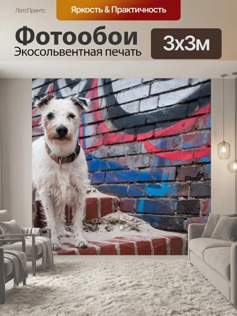 Фотообои Собака