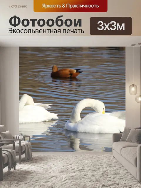 Фотообои Лебеди