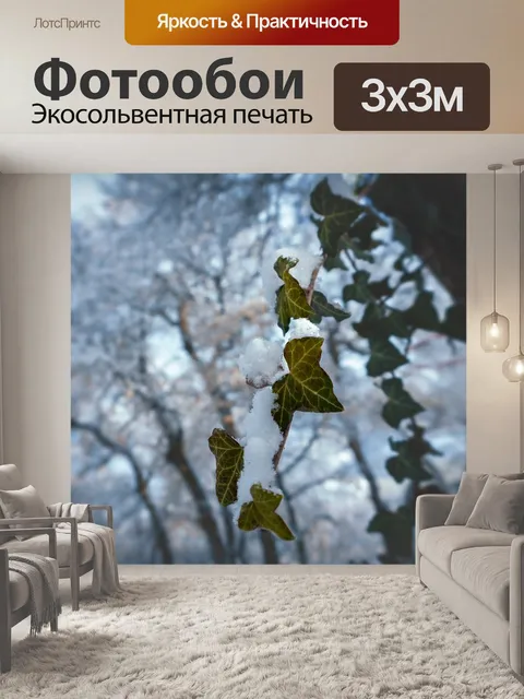 Фотообои Деревья