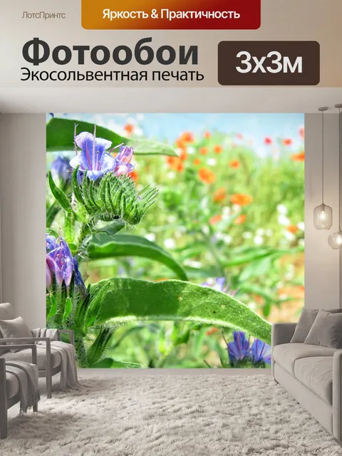 Фотообои Цветы