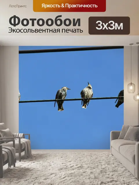 Фотообои Звезда