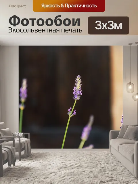 Фотообои Лаванда