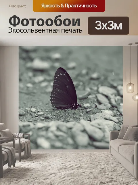 Фотообои Бабочка