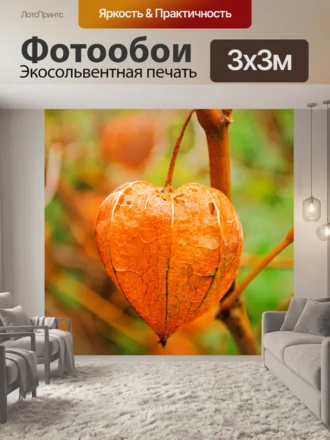 Фотообои Перуанские крыжовника