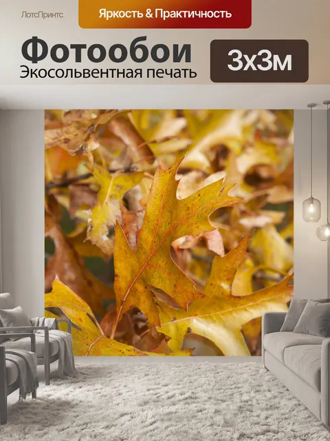 Фотообои Листья