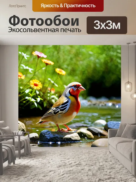 Фотообои зебровая амадина, стоящая на камнях у реки, с легким течением воды и окружающими цветами