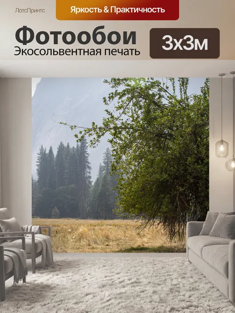 Фотообои Йосемитское поле