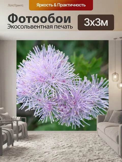 Фотообои Расцветает