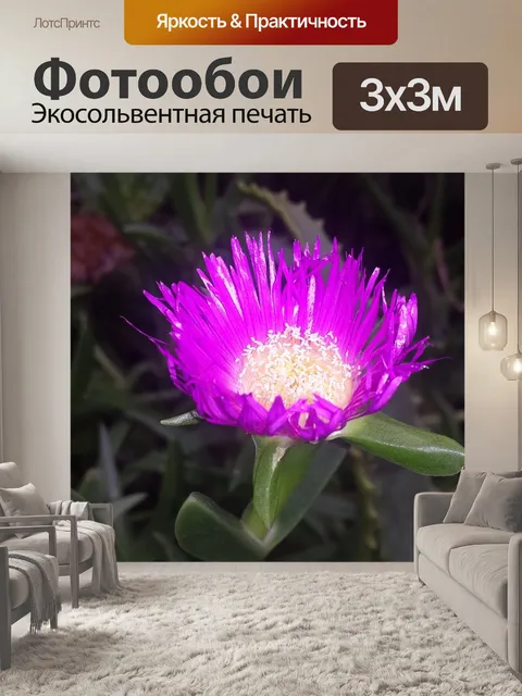 Фотообои Природа