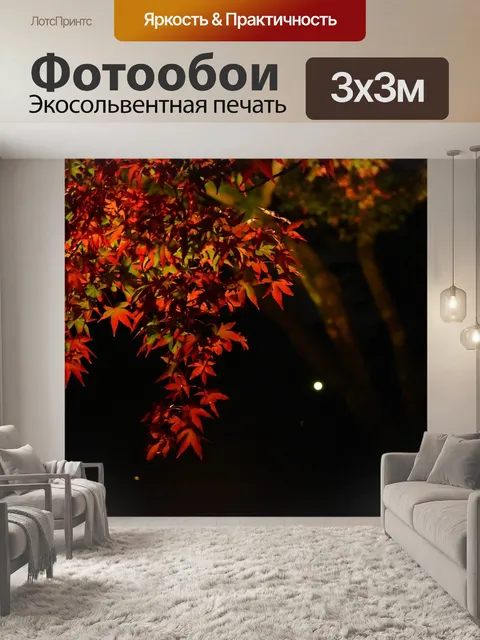 Фотообои Осень