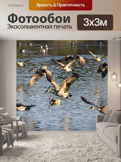 Фотообои Гуси