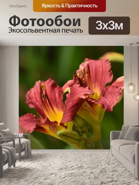 Фотообои Цветы