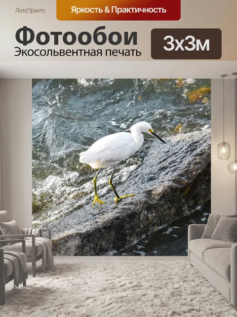Фотообои Птица