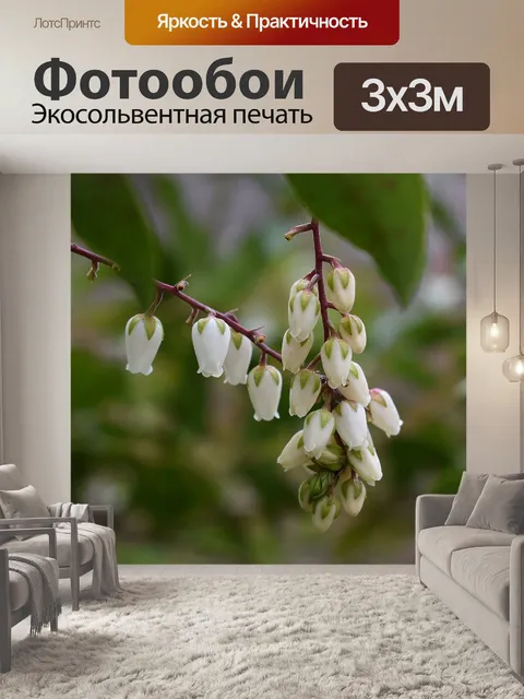 Фотообои Andromeda цветы