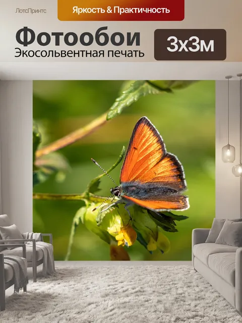 Фотообои Огонь фальтер