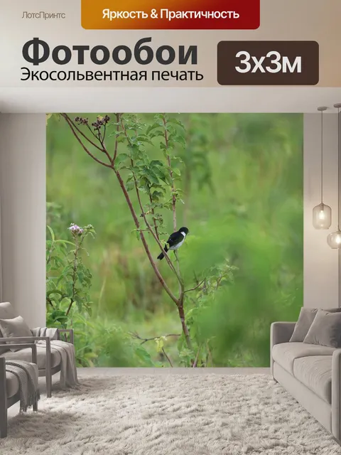 Фотообои Природа