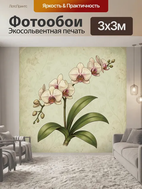 Фотообои Цветущая орхидея фаленопсис