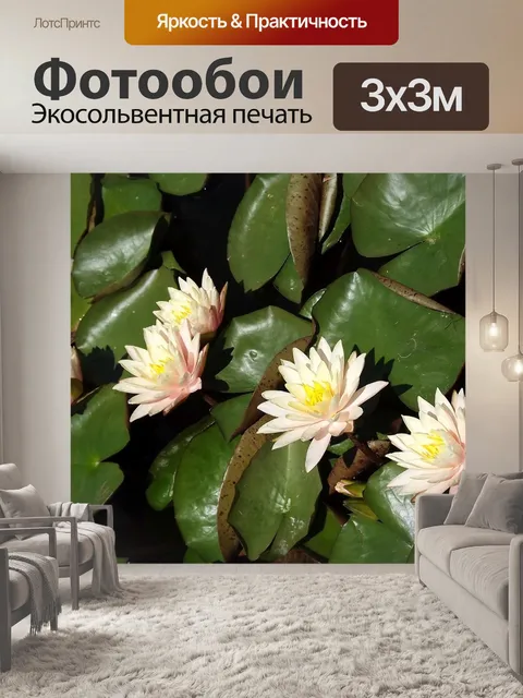 Фотообои Растительность