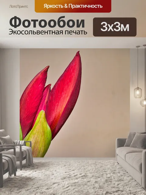 Фотообои Амариллис