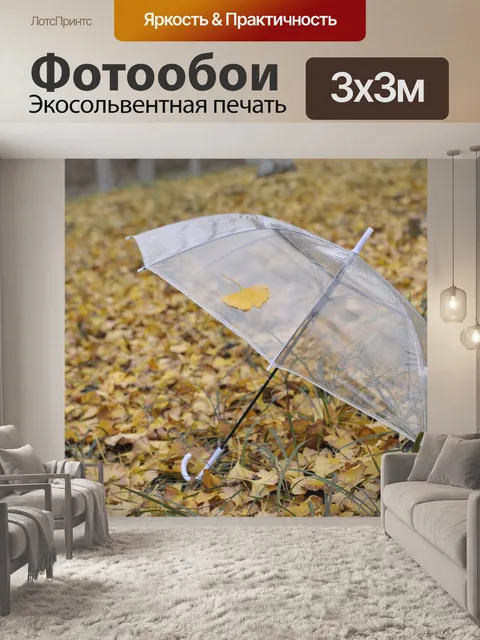 Фотообои Зонтик