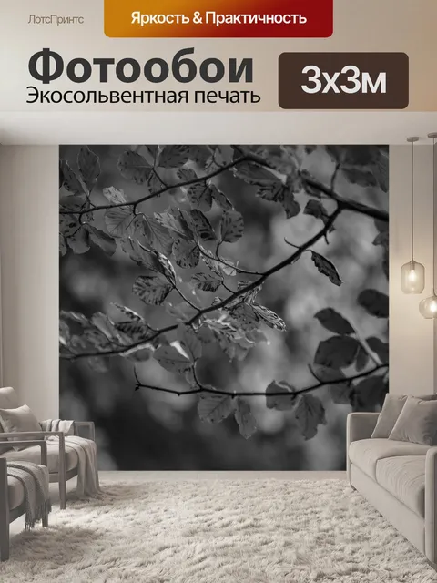 Фотообои лист
